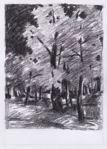 The Highgate Wood, London