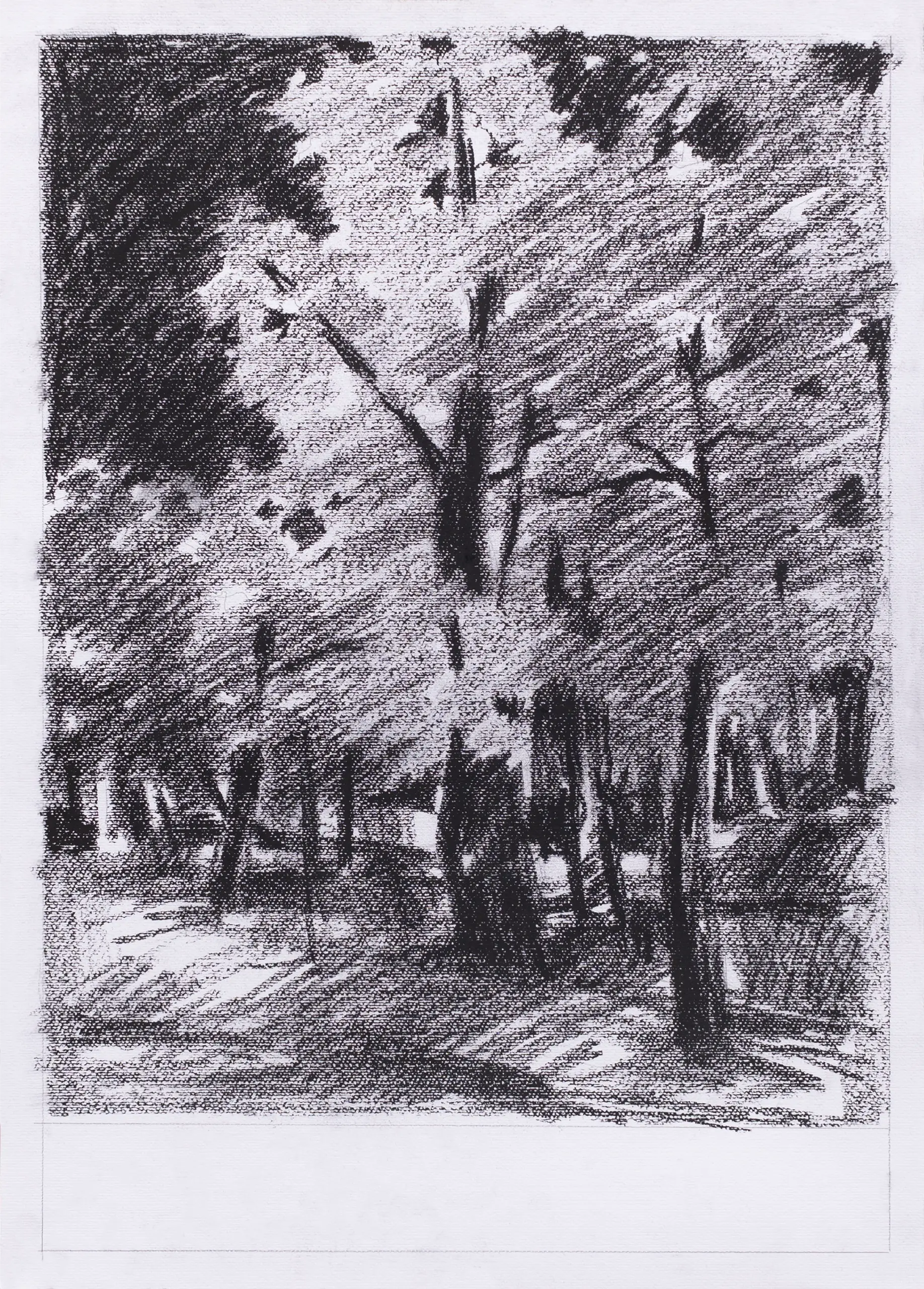 1966