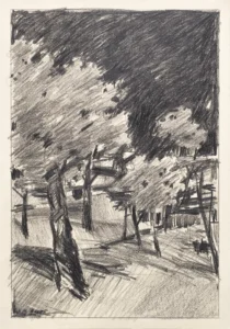 An orchard