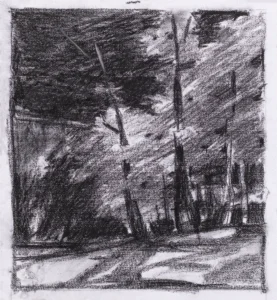 Edge of the forest